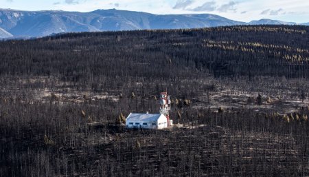greenpeace incendios infocampo