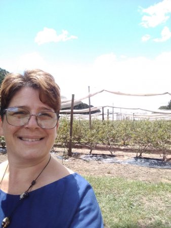 lía bravo blueberry infocampo