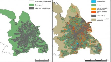 Huerta: revelan que si se cultivara el 10% de los espacios verdes, se producirían alimentos para el 15% de la población 1 mapa sheffield infocampo