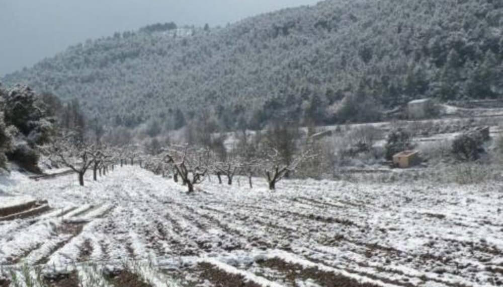 ola de frio