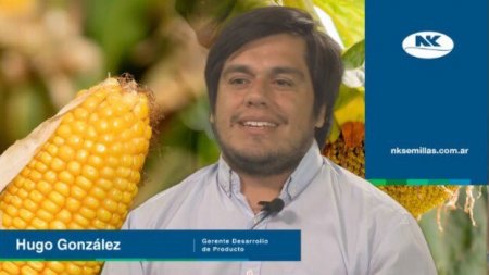 hugo gonzález nk infocampo