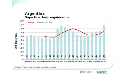 Orgánicos: ¿Cuánto certifica Argentina por año? 2 superficie cultivada infocampo