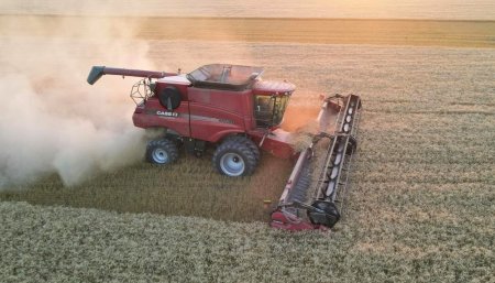 case ih infocampo