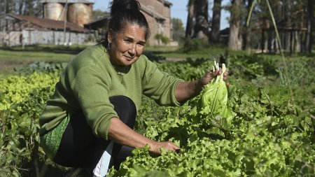 Un programa impulsa a organizaciones a producir semillas nativas y criollas 1 semillar programa infocampo