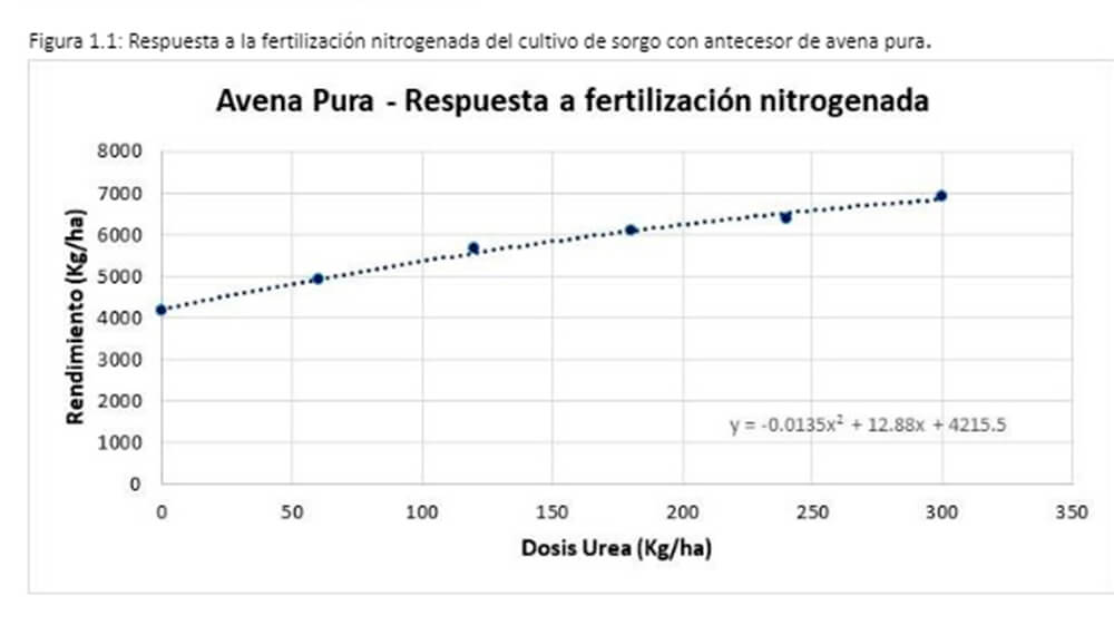 Sorgo granífero: los resultados de un ensayo de fertilización clave en cultivos de servicios 2 avena advanta