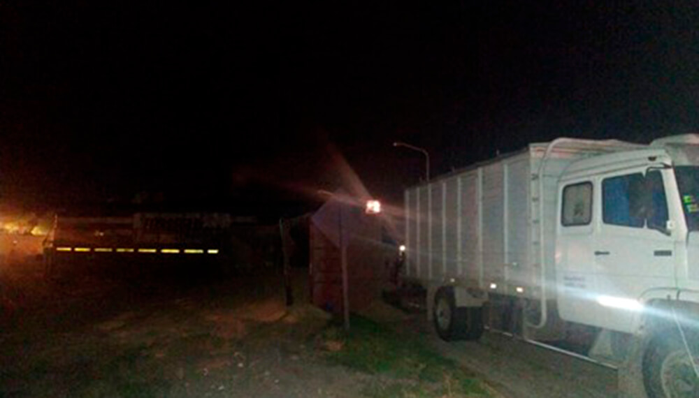 tren vuelco bahia blanca trigo