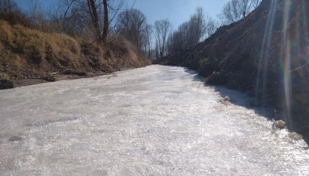 Arroyo en San Carlos