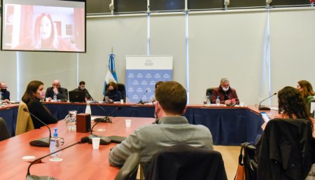 Plenario de comisiones por la ley de etiquetado frontal