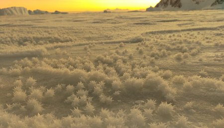 Flores de hielo
