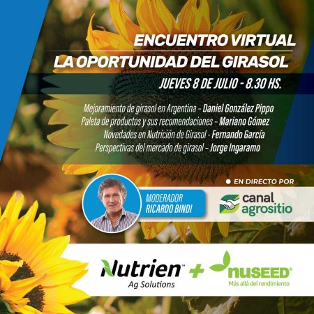 La oportunidad del girasol infocampo