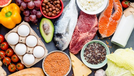 Nuevos escenarios de alimentación