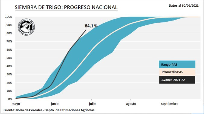 Progreso semanal de la superficie de trigo