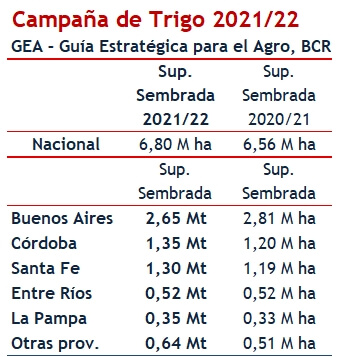 Superficie de trigo sembrada en 2021