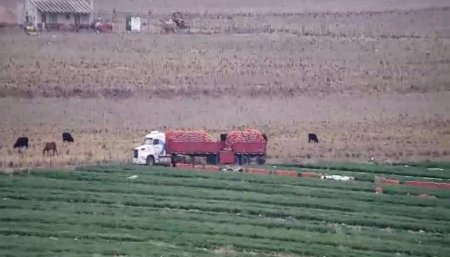 Monitoreo privado y lectura de patentes en tiempo real: las cámaras ganan terreno para combatir la inseguridad rural 2 camaras infocampo dahua 2