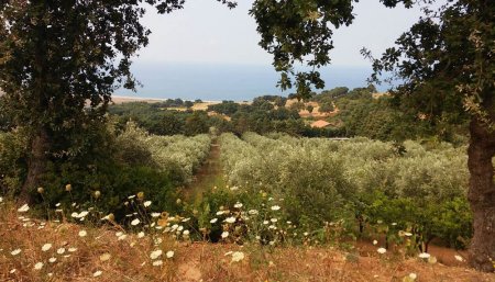 italia calabria