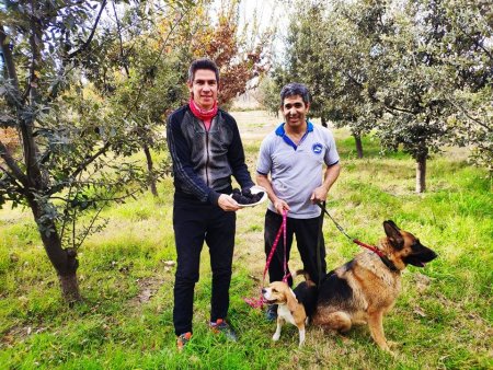 perro trufa2