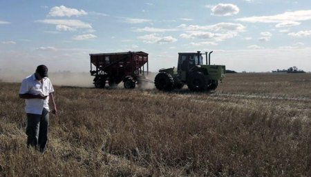 productor campo