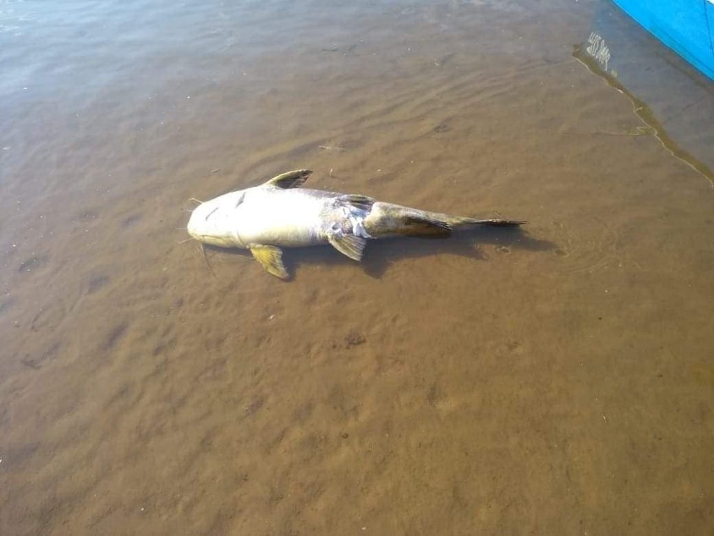 rio parana bajante4