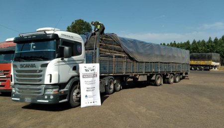 soja camion ruta 12