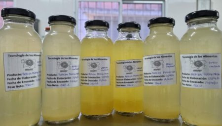 Bebida prebiotica