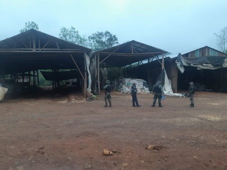 Contrabando de maiz en misiones