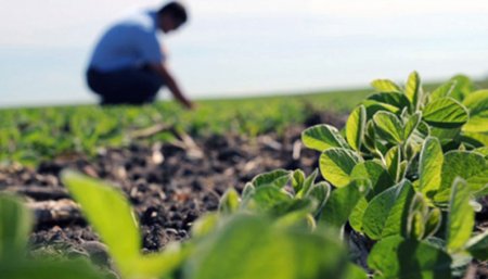 Día del ingeniero agronomo