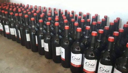 Saqueo de camion de vinos