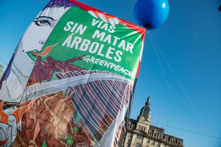 greenpeace arboles andyk