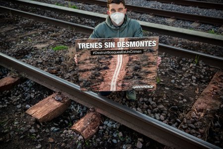 greenpeace durmientes