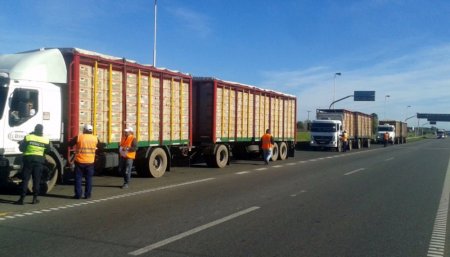 transporte-ruta