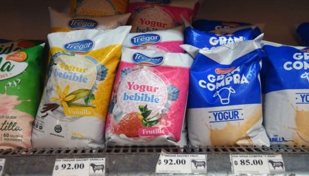 yogur