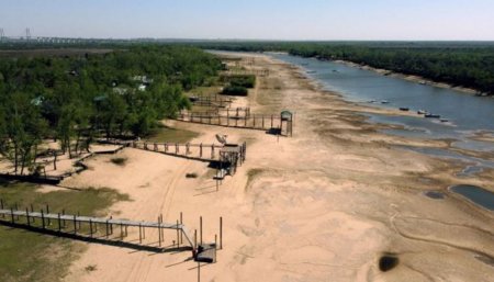 venta de pescados de rio