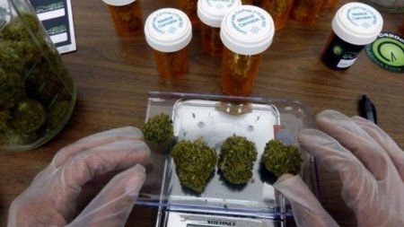 aceite de cannabis