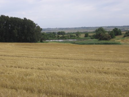 agro