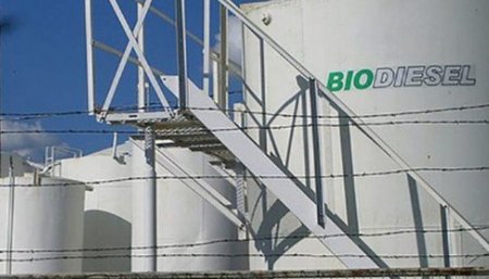 Biodisel argentino