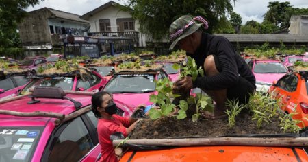 huerta en taxis infocampo