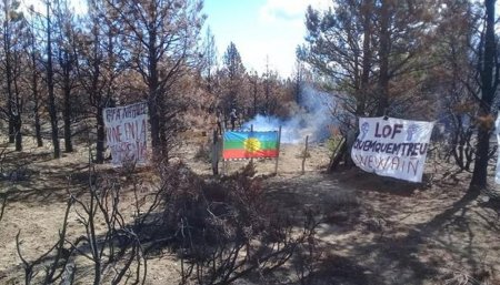 Mapuches toma