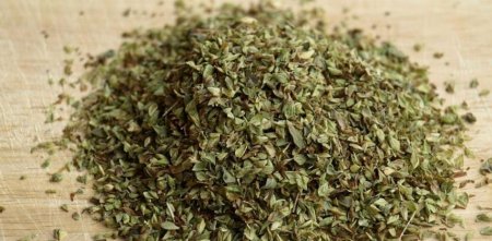 oregano huerta infocampo