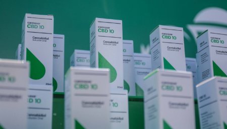 Cannabis medicinal