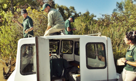 Reforestacion del paraná