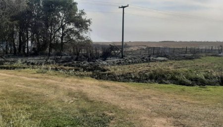 Incendios campos cordoba