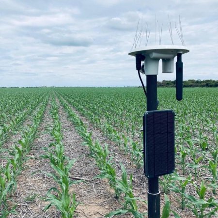 Sensor - Campo