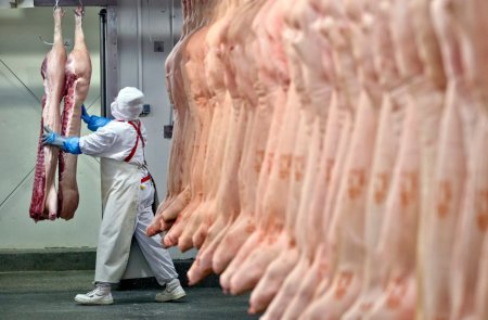 carne