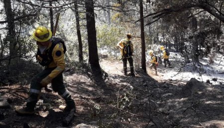 Brigadistas - Patagonia - Incendios
