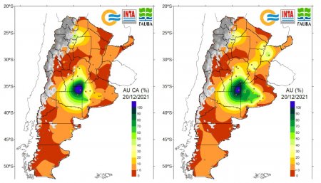 Disponibildiad de agua en el suelo
