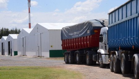 Alborada Agroquimica
