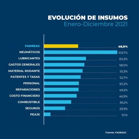Gráfico 6