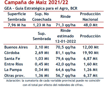 Caida de rendimiento de maiz