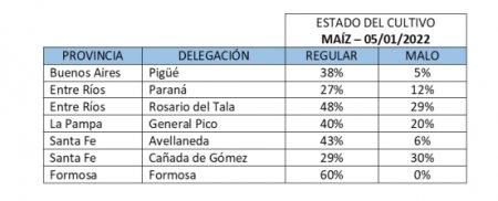 Maiz - Reserva de humedad