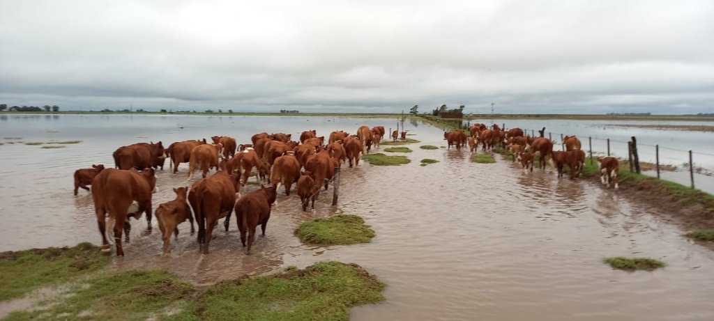 Villegas inundado